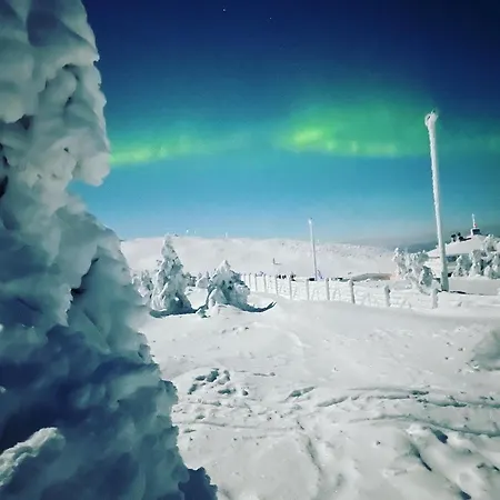 Center, Cozy And Convenient With Sauna 아파트 레비