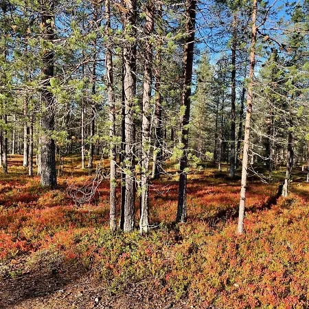 Center, Cozy And Convenient With Sauna 아파트 레비