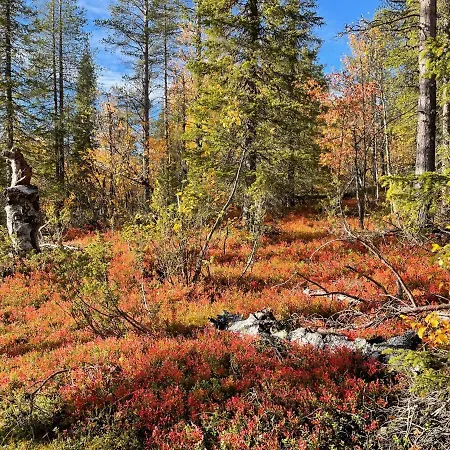 Center, Cozy And Convenient With Sauna