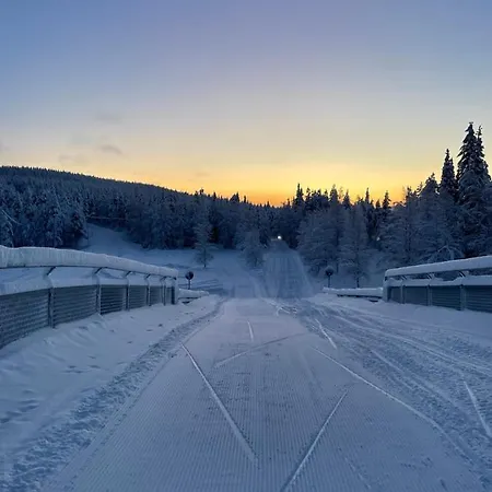 Center, Cozy And Convenient With Sauna Apartmán