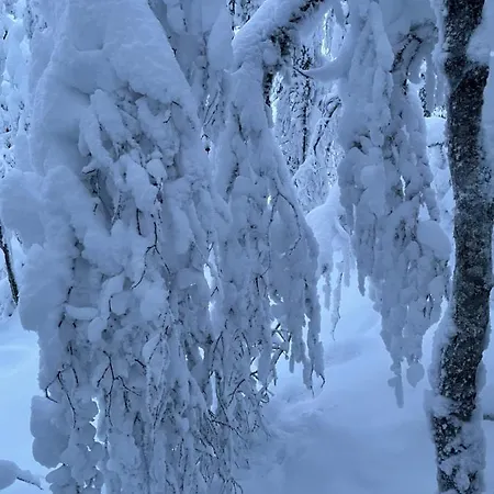 Center, Cozy And Convenient With Sauna 아파트