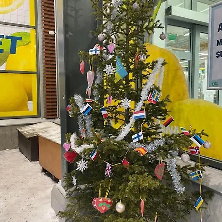 Center, Cozy And Convenient With Sauna