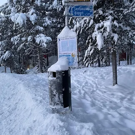 Center, Cozy And Convenient With Sauna *