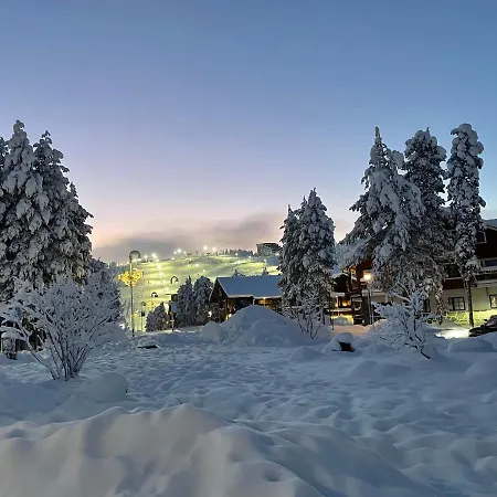 Center, Cozy And Convenient With Sauna 레비