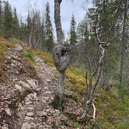 Center, Cozy And Convenient With Sauna * Levi