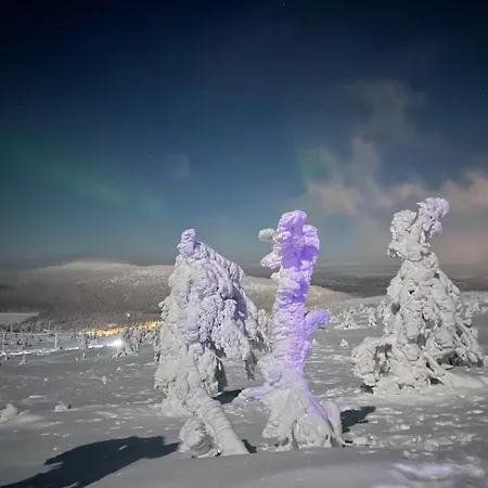 Center, Cozy And Convenient With Sauna 公寓 列维