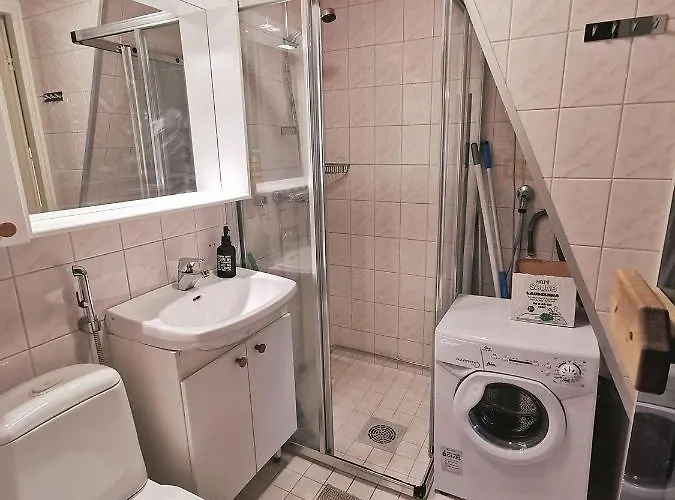 Center, Cozy And Convenient With Sauna 列维