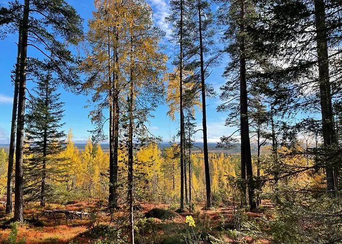 Center, Cozy And Convenient With Sauna 公寓