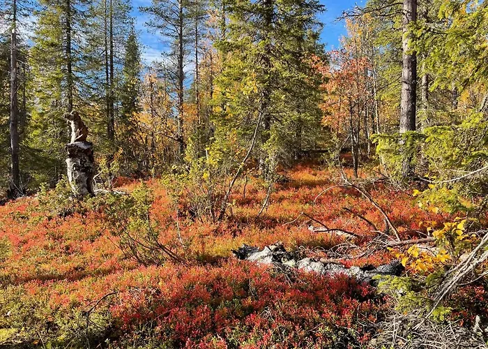 Center, Cozy And Convenient With Sauna