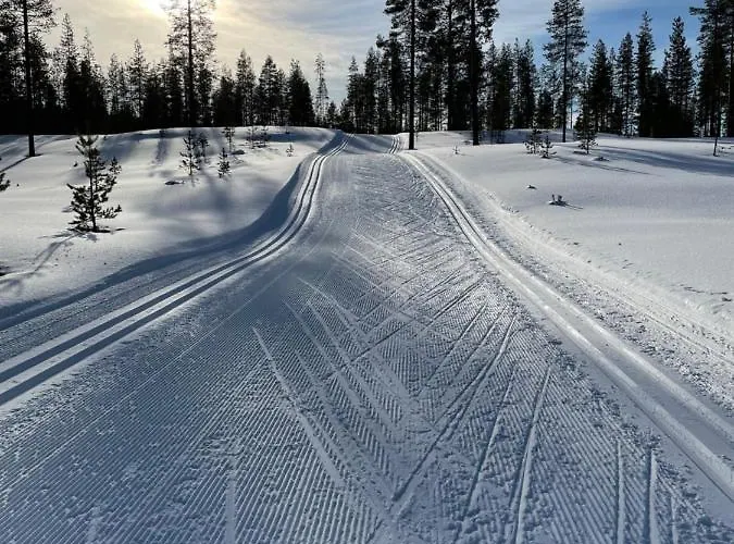 Center, Cozy And Convenient With Sauna 公寓