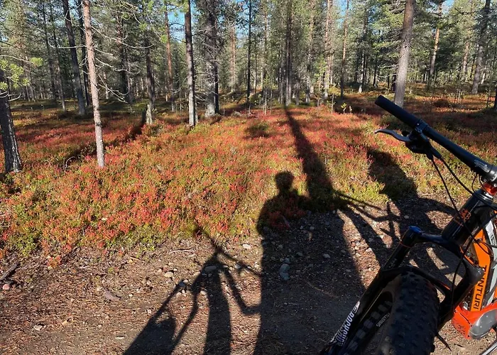 Center, Cozy And Convenient With Sauna 公寓 列维