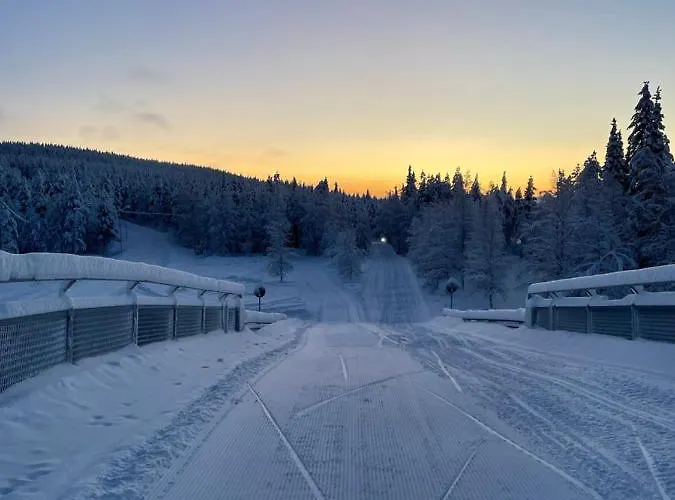 Center, Cozy And Convenient With Sauna 公寓