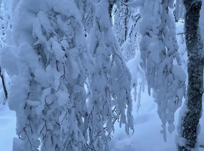 Center, Cozy And Convenient With Sauna 公寓