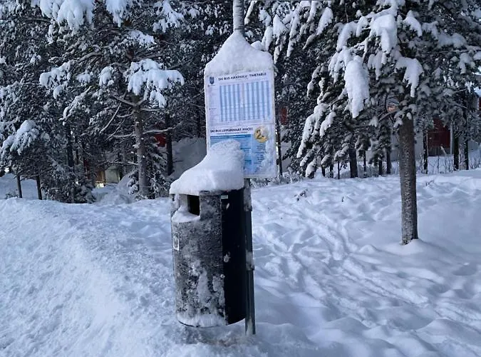 Center, Cozy And Convenient With Sauna *