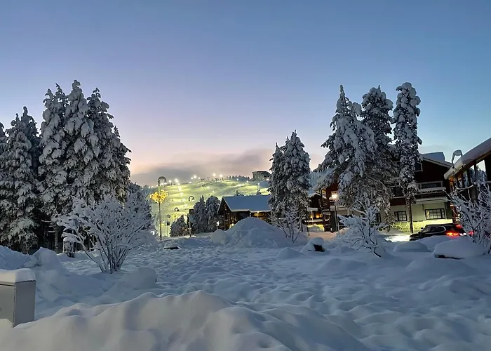 Center, Cozy And Convenient With Sauna 列维