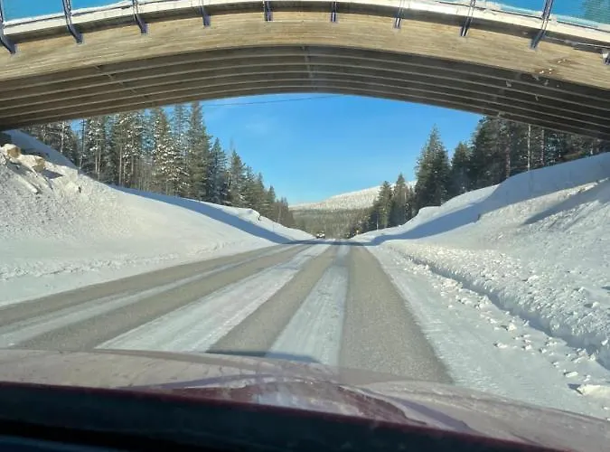 公寓 Center, Cozy And Convenient With Sauna *