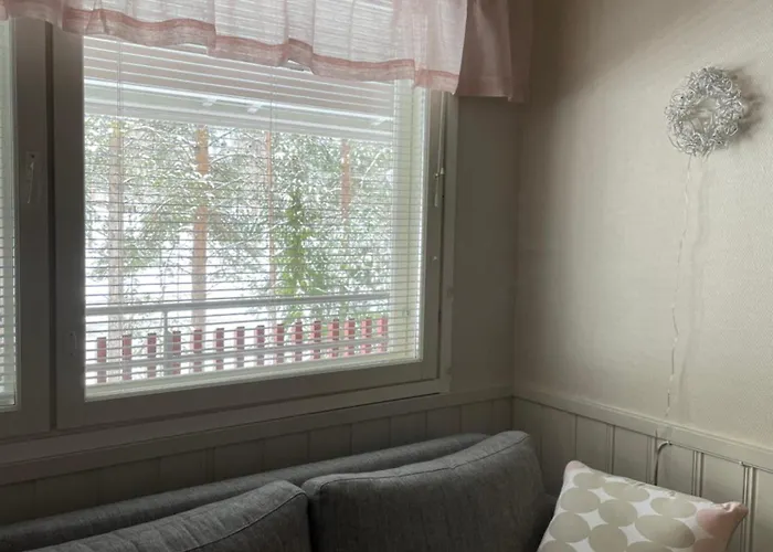 Center, Cozy And Convenient With Sauna * 列维