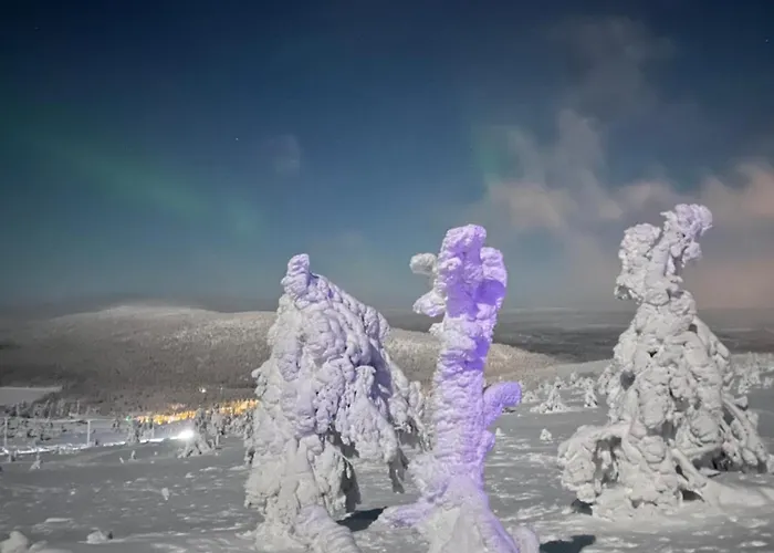 Center, Cozy And Convenient With Sauna 公寓 列维